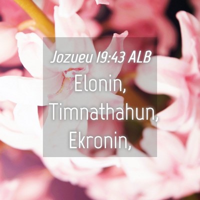 Picture 04 - Jozueu 19:43 ALB - Elonin, Timnathahun, - Bible Verse Picture