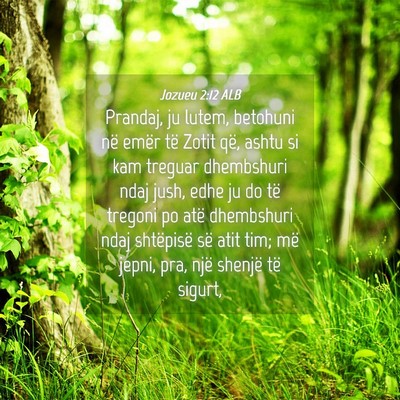 Picture 04 - Jozueu 2:12 ALB - Prandaj, ju lutem, betohuni në emër të Zotit - Bible Verse Picture