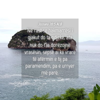 Picture 04 - Jozueu 20:5 ALB - Në rast se hakmarrësi i gjakut do ta ndjekë, - Bible Verse Picture