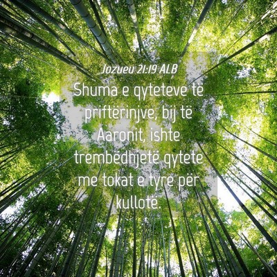 Picture 04 - Jozueu 21:19 ALB - Shuma e qyteteve të priftërinjve, bij të - Bible Verse Picture