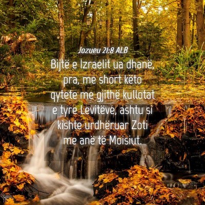 Picture 04 - Jozueu 21:8 ALB - Bijtë e Izraelit ua dhanë, pra, me short këto - Bible Verse Picture