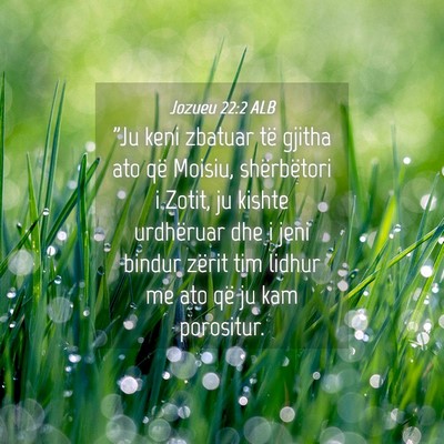 Picture 04 - Jozueu 22:2 ALB - 