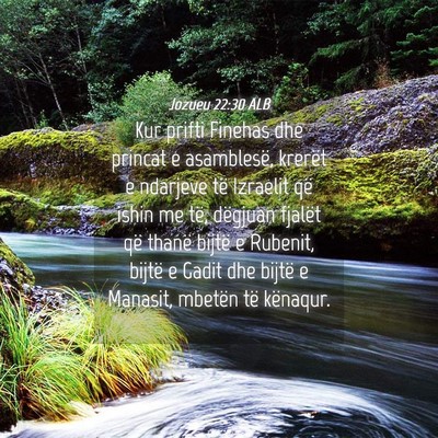 Picture 04 - Jozueu 22:30 ALB - Kur prifti Finehas dhe princat e asamblesë, - Bible Verse Picture