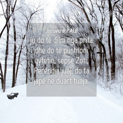 Picture 04 - Jozueu 8:7 ALB - ju do të dilni nga prita dhe do të pushtoni - Bible Verse Picture