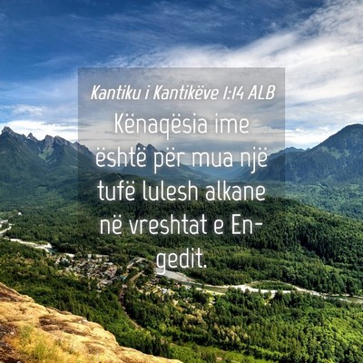Picture 04 - Kantiku i Kantikëve 1:14 ALB - Kënaqësia ime është për mua një tufë - Bible Verse Picture