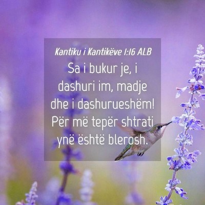 Picture 04 - Kantiku i Kantikëve 1:16 ALB - Sa i bukur je, i dashuri im, madje dhe i - Bible Verse Picture