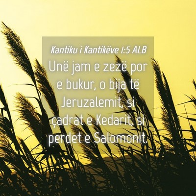 Picture 04 - Kantiku i Kantikëve 1:5 ALB - Unë jam e zezë por e bukur, o bija të - Bible Verse Picture