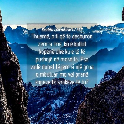 Picture 04 - Kantiku i Kantikëve 1:7 ALB - Thuamë, o ti që të dashuron zemra ime, ku e - Bible Verse Picture