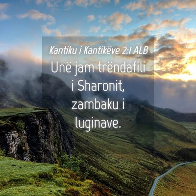 Picture 04 - Kantiku i Kantikëve 2:1 ALB - Unë jam trëndafili i Sharonit, zambaku i - Bible Verse Picture