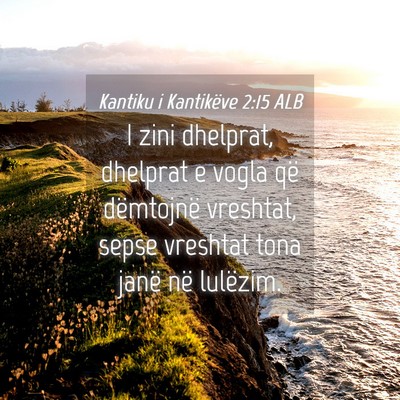 Picture 04 - Kantiku i Kantikëve 2:15 ALB - I zini dhelprat, dhelprat e vogla që dëmtojnë - Bible Verse Picture