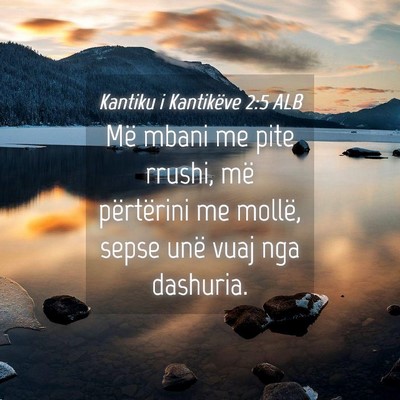 Picture 04 - Kantiku i Kantikëve 2:5 ALB - Më mbani me pite rrushi, më përtërini me - Bible Verse Picture