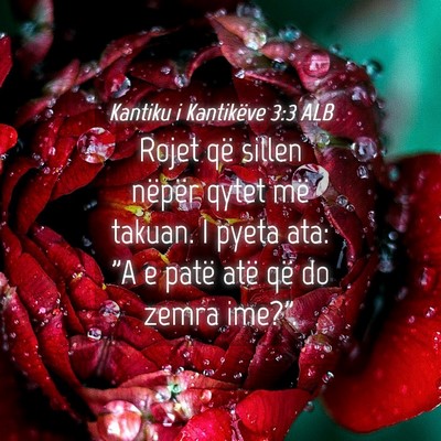 Picture 04 - Kantiku i Kantikëve 3:3 ALB - Rojet që sillen nëpër qytet më takuan. I - Bible Verse Picture