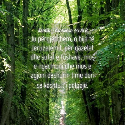 Picture 04 - Kantiku i Kantikëve 3:5 ALB - Ju përgjërohem, o bija të Jeruzalemit, për - Bible Verse Picture
