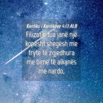 Picture 04 - Kantiku i Kantikëve 4:13 ALB - Filizat e tua janë një kopësht shegësh me - Bible Verse Picture