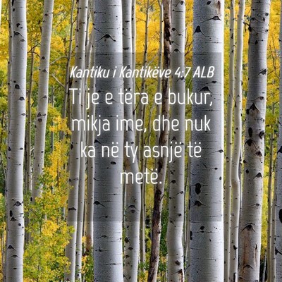 Picture 04 - Kantiku i Kantikëve 4:7 ALB - Ti je e tëra e bukur, mikja ime, dhe nuk ka në - Bible Verse Picture