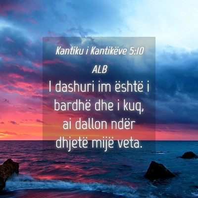 Picture 04 - Kantiku i Kantikëve 5:10 ALB - I dashuri im është i bardhë dhe i kuq, ai - Bible Verse Picture
