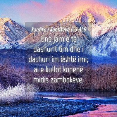 Picture 04 - Kantiku i Kantikëve 6:3 ALB - Unë jam e të dashurit tim dhe i dashuri im - Bible Verse Picture
