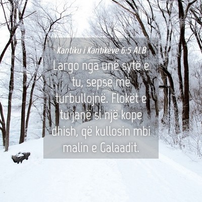 Picture 04 - Kantiku i Kantikëve 6:5 ALB - Largo nga unë sytë e tu, sepse më - Bible Verse Picture