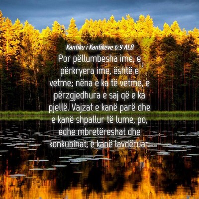 Picture 04 - Kantiku i Kantikëve 6:9 ALB - Por pëllumbesha ime, e përkryera ime, është e - Bible Verse Picture