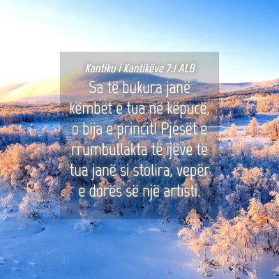 Picture 04 - Kantiku i Kantikëve 7:1 ALB - Sa të bukura janë këmbët e tua në këpucë, - Bible Verse Picture
