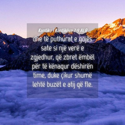 Picture 04 - Kantiku i Kantikëve 7:9 ALB - dhe të puthurat e gojës sate si një verë e - Bible Verse Picture