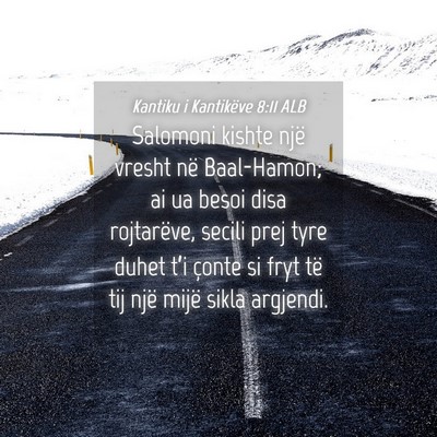 Picture 04 - Kantiku i Kantikëve 8:11 ALB - Salomoni kishte një vresht në Baal-Hamon; ai ua - Bible Verse Picture