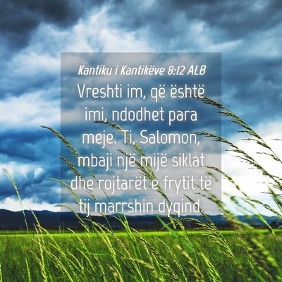 Picture 04 - Kantiku i Kantikëve 8:12 ALB - Vreshti im, që është imi, ndodhet para meje. - Bible Verse Picture