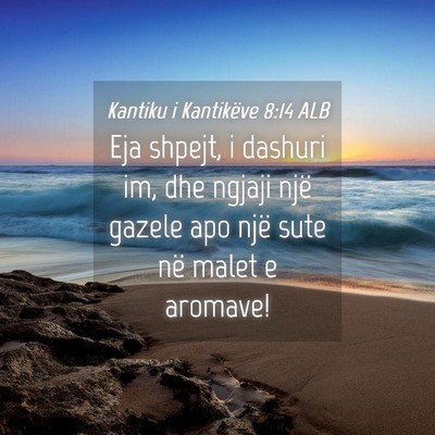 Picture 04 - Kantiku i Kantikëve 8:14 ALB - Eja shpejt, i dashuri im, dhe ngjaji një gazele - Bible Verse Picture
