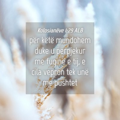 Picture 04 - Kolosianëve 1:29 ALB - për këtë mundohem duke u përpjekur me fuqinë - Bible Verse Picture