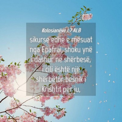 Picture 04 - Kolosianëve 1:7 ALB - sikurse edhe e mësuat nga Epafrai, shoku ynë i - Bible Verse Picture
