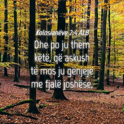 Picture 04 - Kolosianëve 2:4 ALB - Dhe po ju them këtë, që askush të mos ju - Bible Verse Picture