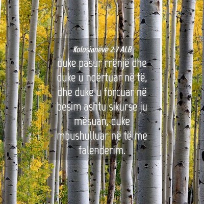 Picture 04 - Kolosianëve 2:7 ALB - duke pasur rrënjë dhe duke u ndërtuar në të, - Bible Verse Picture