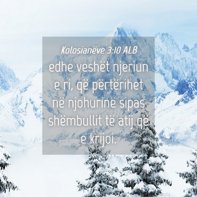 Picture 04 - Kolosianëve 3:10 ALB - edhe veshët njeriun e ri, që përtërihet në - Bible Verse Picture
