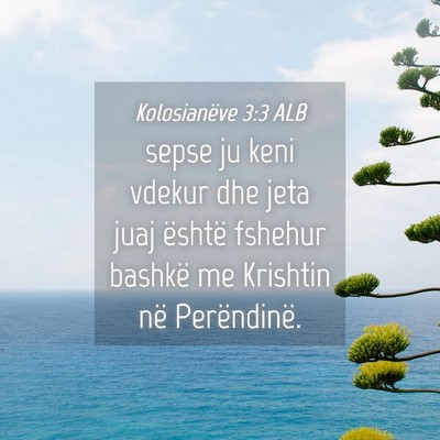 Picture 04 - Kolosianëve 3:3 ALB - sepse ju keni vdekur dhe jeta juaj është - Bible Verse Picture