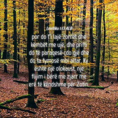 Picture 04 - Levitiku 1:13 ALB - por do t’i lajë zorrët dhe këmbët me ujë, - Bible Verse Picture