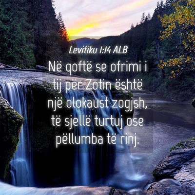 Picture 04 - Levitiku 1:14 ALB - Në qoftë se ofrimi i tij për Zotin është - Bible Verse Picture