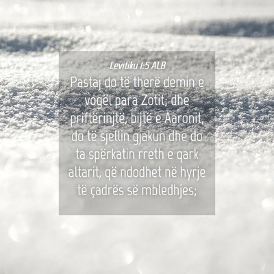 Picture 04 - Levitiku 1:5 ALB - Pastaj do të therë demin e vogël para Zotit; - Bible Verse Picture