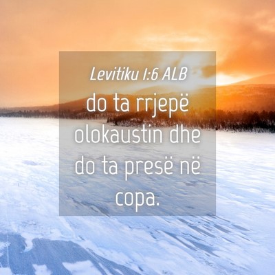 Picture 04 - Levitiku 1:6 ALB - do ta rrjepë olokaustin dhe do ta presë në - Bible Verse Picture