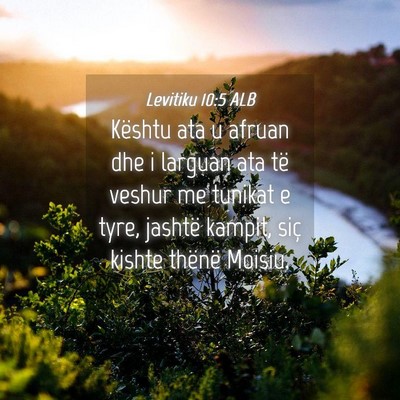 Picture 04 - Levitiku 10:5 ALB - Kështu ata u afruan dhe i larguan ata të veshur - Bible Verse Picture