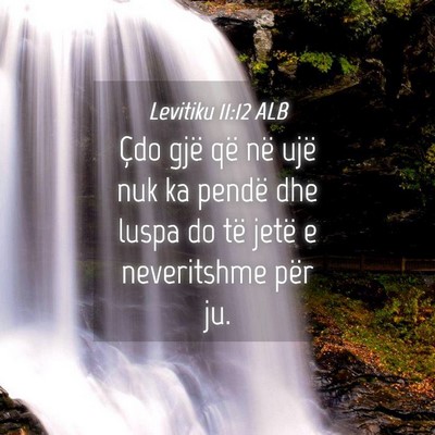 Picture 04 - Levitiku 11:12 ALB - Çdo gjë që në ujë nuk ka pendë dhe luspa do - Bible Verse Picture