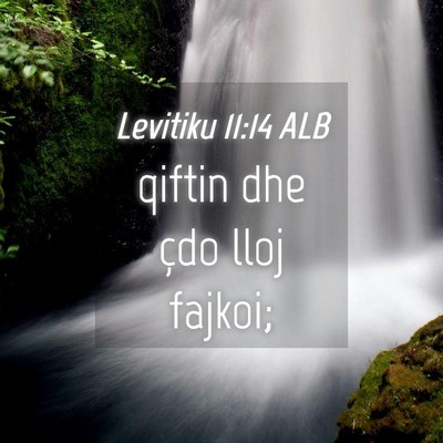 Picture 04 - Levitiku 11:14 ALB - qiftin dhe çdo lloj - Bible Verse Picture