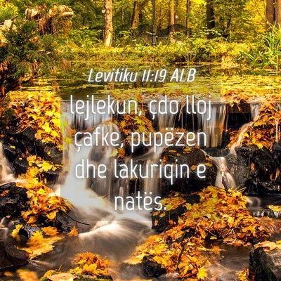 Picture 04 - Levitiku 11:19 ALB - lejlekun, çdo lloj çafke, pupëzen dhe - Bible Verse Picture