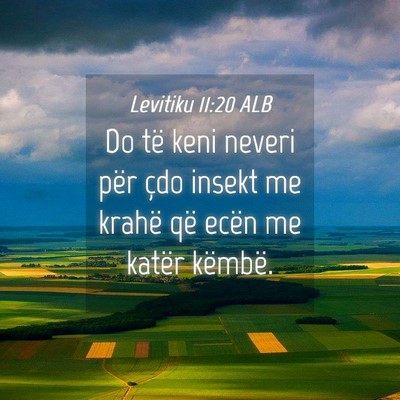 Picture 04 - Levitiku 11:20 ALB - Do të keni neveri për çdo insekt me krahë që - Bible Verse Picture