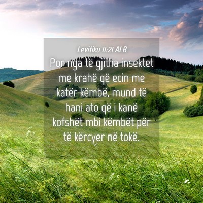 Picture 04 - Levitiku 11:21 ALB - Por nga të gjitha insektet me krahë që ecin me - Bible Verse Picture