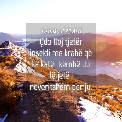 Picture 04 - Levitiku 11:23 ALB - Çdo lloj tjetër insekti me krahë që ka katër - Bible Verse Picture