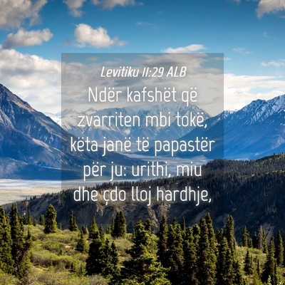 Picture 04 - Levitiku 11:29 ALB - Ndër kafshët që zvarriten mbi tokë, këta - Bible Verse Picture