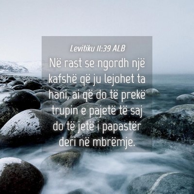 Picture 04 - Levitiku 11:39 ALB - Në rast se ngordh një kafshë që ju lejohet ta - Bible Verse Picture