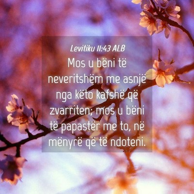 Picture 04 - Levitiku 11:43 ALB - Mos u bëni të neveritshëm me asnjë nga këto - Bible Verse Picture