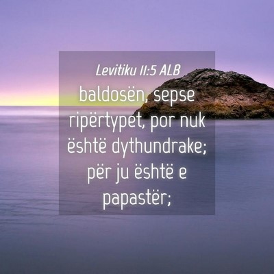 Picture 04 - Levitiku 11:5 ALB - baldosën, sepse ripërtypet, por nuk është - Bible Verse Picture