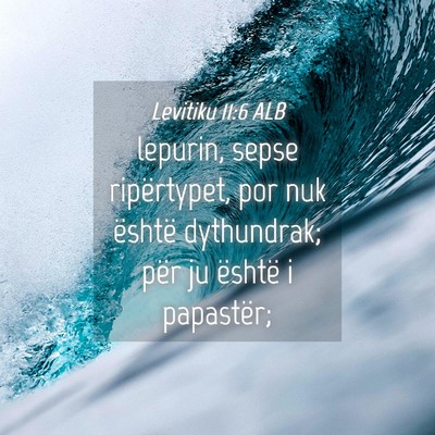 Picture 04 - Levitiku 11:6 ALB - lepurin, sepse ripërtypet, por nuk është - Bible Verse Picture